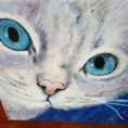 /album/fotogalleri/img-20160529-181144-jpg/